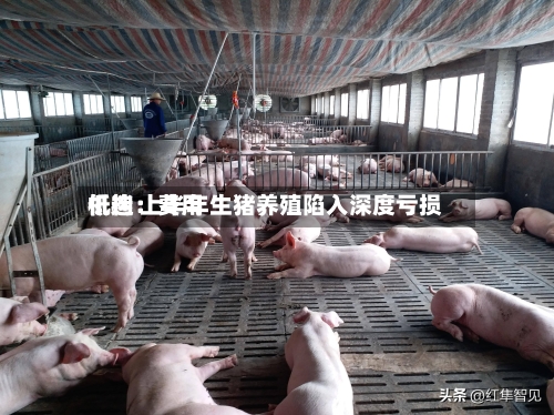 机构：费用低迷 上半年生猪养殖陷入深度亏损