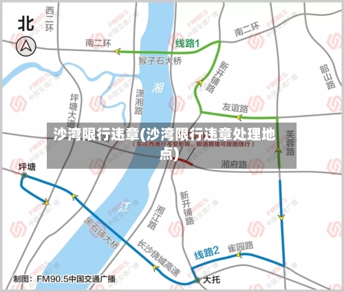 沙湾限行违章(沙湾限行违章处理地点)