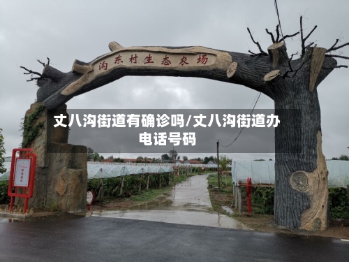 丈八沟街道有确诊吗/丈八沟街道办电话号码-第2张图片