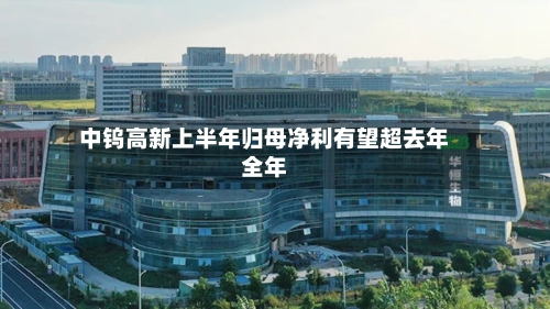 中钨高新上半年归母净利有望超去年全年