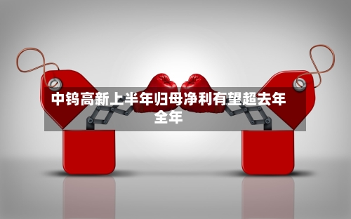 中钨高新上半年归母净利有望超去年全年-第2张图片