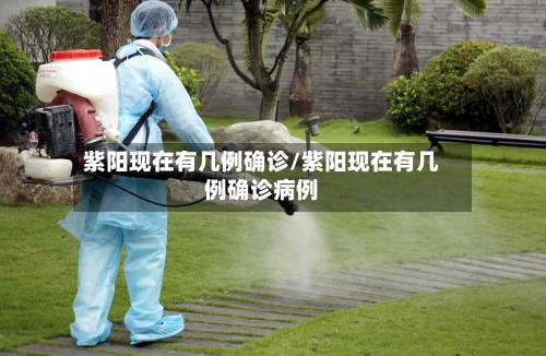 紫阳现在有几例确诊/紫阳现在有几例确诊病例