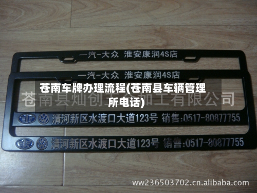 苍南车牌办理流程(苍南县车辆管理所电话)-第3张图片