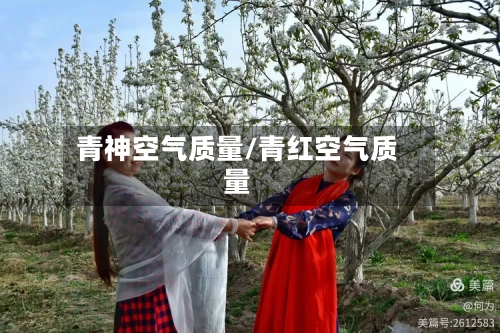 青神空气质量/青红空气质量