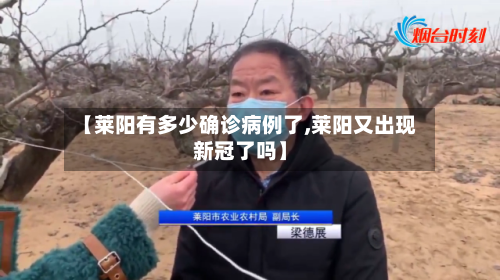 【莱阳有多少确诊病例了,莱阳又出现新冠了吗】