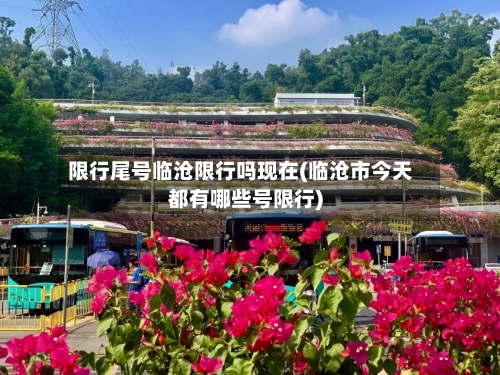 限行尾号临沧限行吗现在(临沧市今天都有哪些号限行)