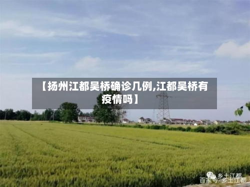 【扬州江都吴桥确诊几例,江都吴桥有疫情吗】-第2张图片