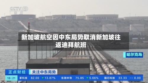 新加坡航空因中东局势取消新加坡往返迪拜航班-第3张图片
