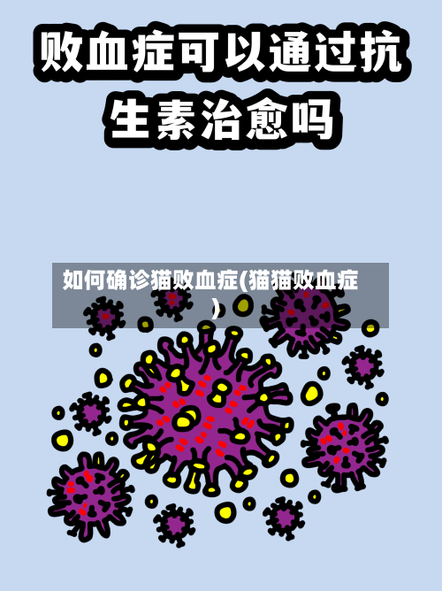 如何确诊猫败血症(猫猫败血症)-第2张图片