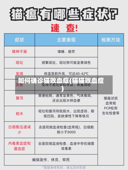 如何确诊猫败血症(猫猫败血症)-第3张图片