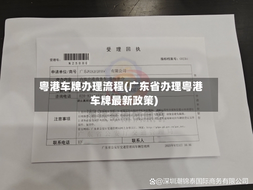 粤港车牌办理流程(广东省办理粤港车牌最新政策)