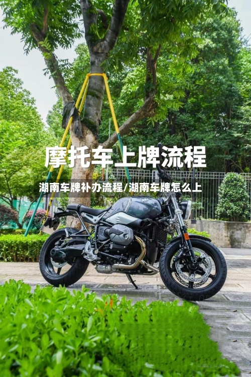 湖南车牌补办流程/湖南车牌怎么上-第2张图片