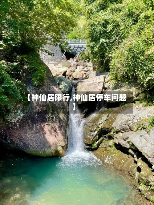 【神仙居限行,神仙居停车问题】