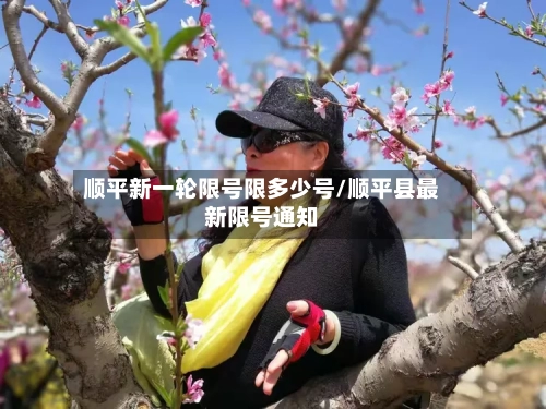 顺平新一轮限号限多少号/顺平县最新限号通知-第2张图片