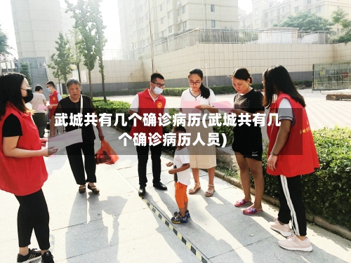 武城共有几个确诊病历(武城共有几个确诊病历人员)-第2张图片