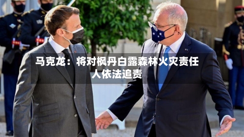马克龙:将对枫丹白露森林火灾责任人依法追责-第2张图片