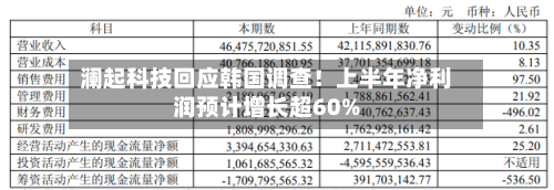 澜起科技回应韩国调查！上半年净利润预计增长超60%