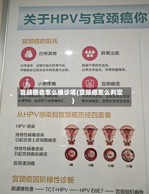 宫颈癌会怎么确诊呢(宫颈癌怎么判定)-第2张图片