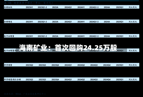 海南矿业：首次回购24.25万股