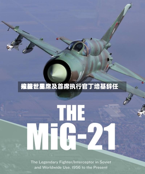 米格世界
控股:主席及首席执行官丁培基辞任