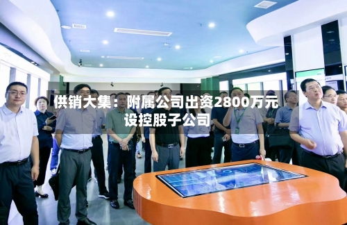 供销大集：附属公司出资2800万元设控股子公司-第2张图片