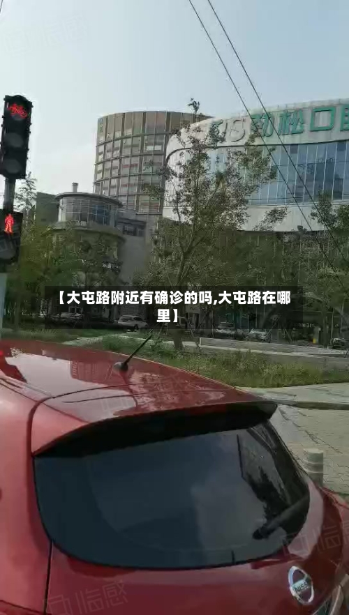 【大屯路附近有确诊的吗,大屯路在哪里】-第3张图片