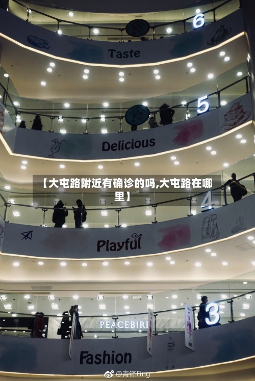 【大屯路附近有确诊的吗,大屯路在哪里】