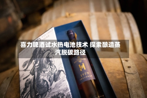 喜力啤酒试水热电池技术 探索酿造蒸汽脱碳路径