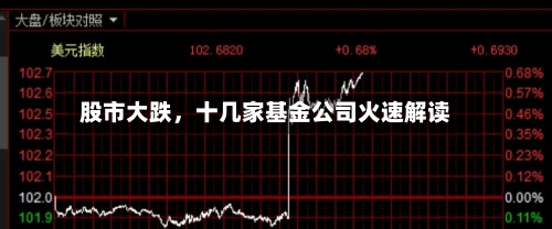 股市大跌，十几家基金公司火速解读