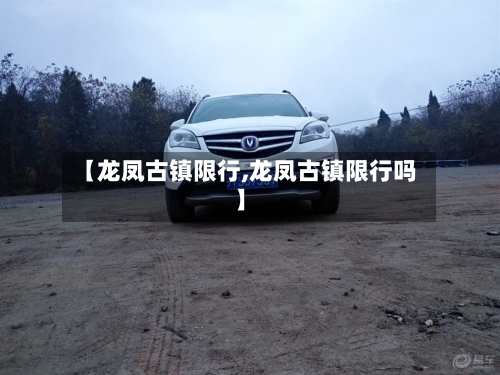 【龙凤古镇限行,龙凤古镇限行吗】