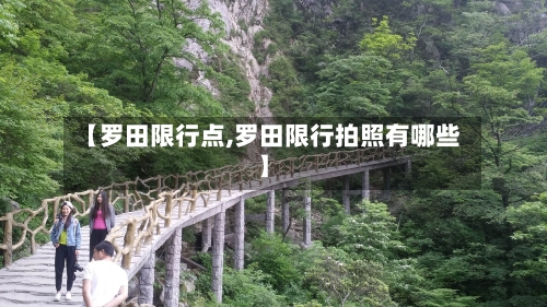 【罗田限行点,罗田限行拍照有哪些】-第3张图片