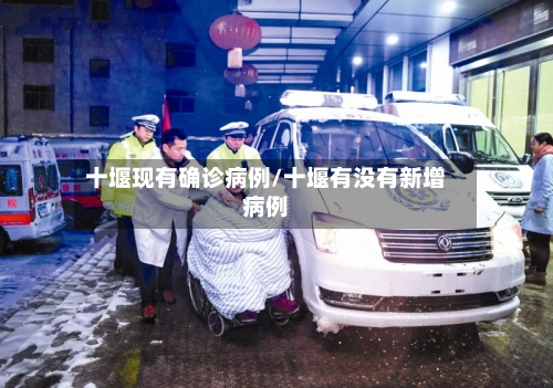 十堰现有确诊病例/十堰有没有新增病例-第3张图片