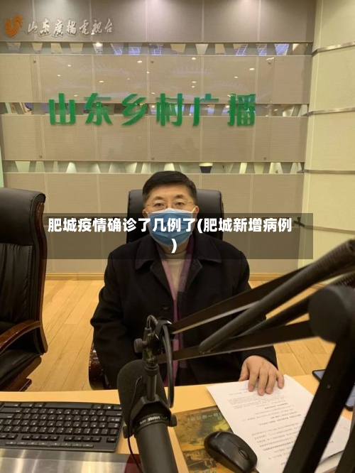 肥城疫情确诊了几例了(肥城新增病例)-第2张图片