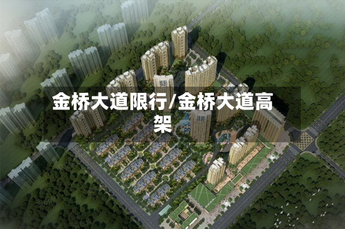 金桥大道限行/金桥大道高架