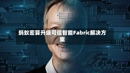 蚂蚁密算升级可信智能Fabric解决方案-第2张图片