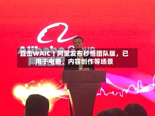 直击WAIC丨阿里发布秒悟团队版,已用于电商、内容创作等场景