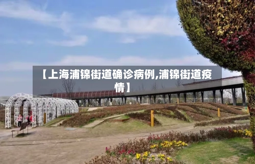 【上海浦锦街道确诊病例,浦锦街道疫情】