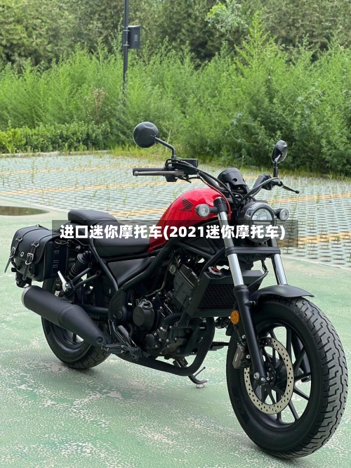 进口迷你摩托车(2021迷你摩托车)