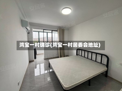 鸿宝一村确诊(鸿宝一村居委会地址)