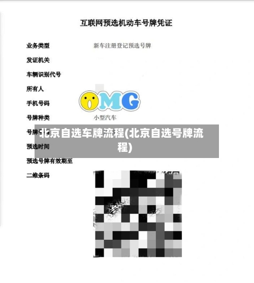 北京自选车牌流程(北京自选号牌流程)
