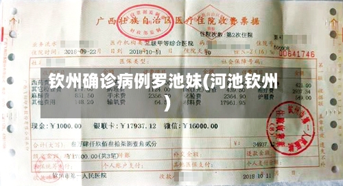 钦州确诊病例罗池妹(河池钦州)-第2张图片