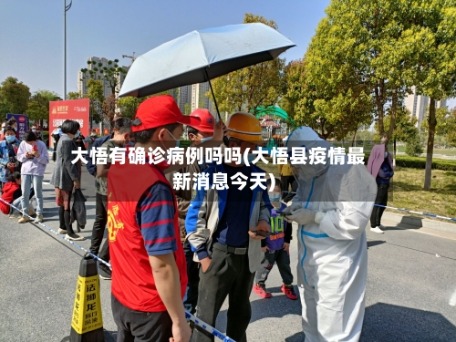 大悟有确诊病例吗吗(大悟县疫情最新消息今天)-第2张图片