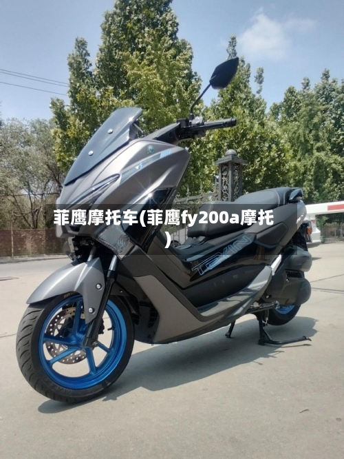 菲鹰摩托车(菲鹰fy200a摩托)