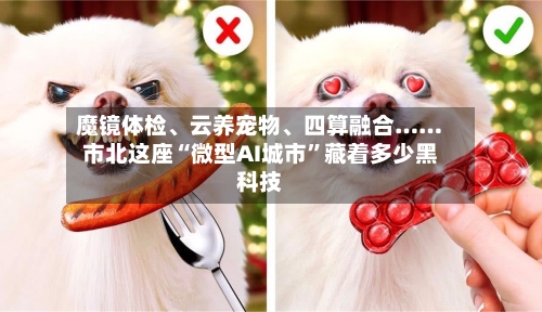 魔镜体检、云养宠物、四算融合……市北这座“微型AI城市”藏着多少黑科技