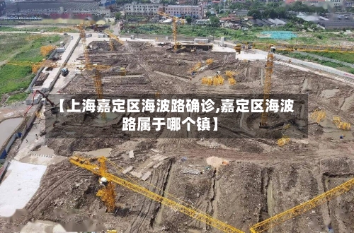【上海嘉定区海波路确诊,嘉定区海波路属于哪个镇】