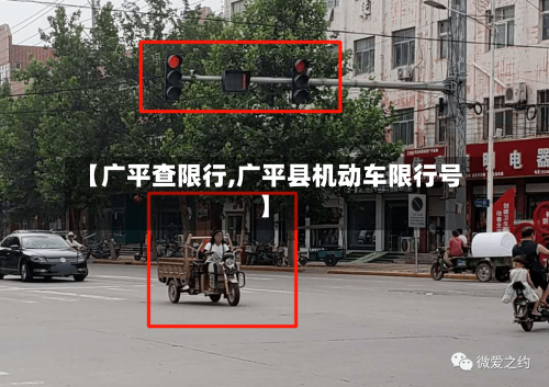 【广平查限行,广平县机动车限行号】