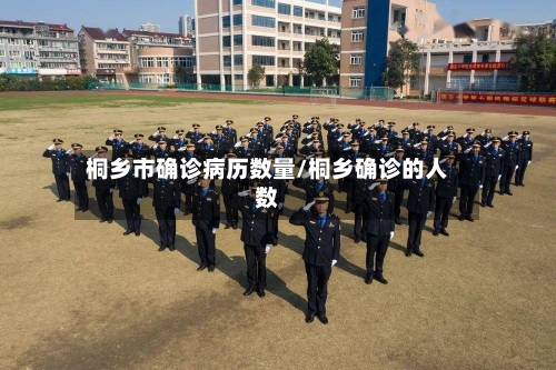 桐乡市确诊病历数量/桐乡确诊的人数