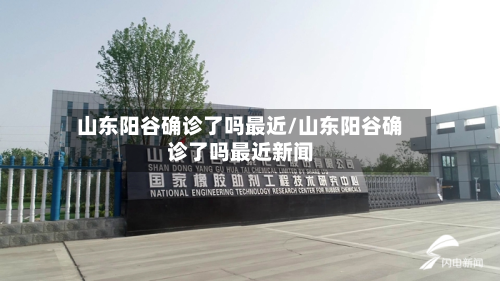 山东阳谷确诊了吗最近/山东阳谷确诊了吗最近新闻-第3张图片