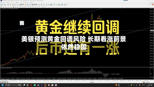 美银预测黄金回调风险 长期看涨前景依然稳固-第2张图片