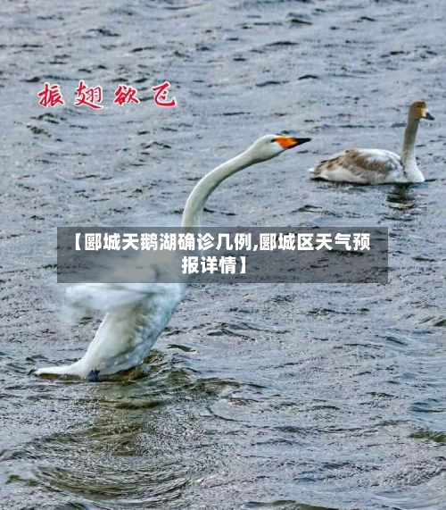 【郾城天鹅湖确诊几例,郾城区天气预报详情】-第2张图片